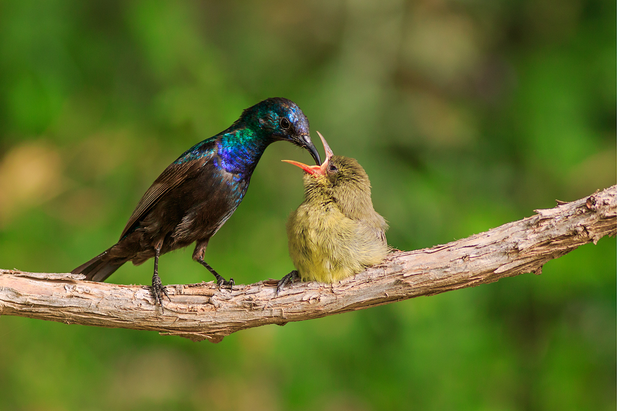 20180413_202712_IMG_0077