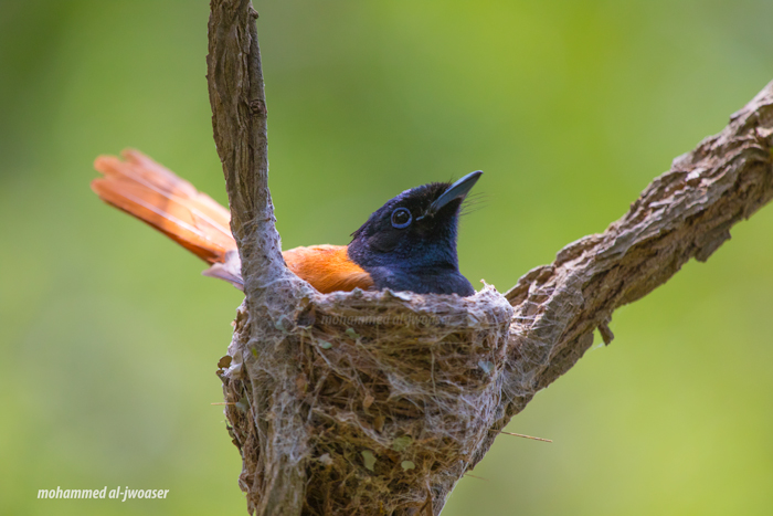 20180413_202713_IMG_0080