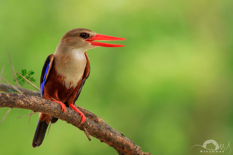 20180413_202725_IMG_0101